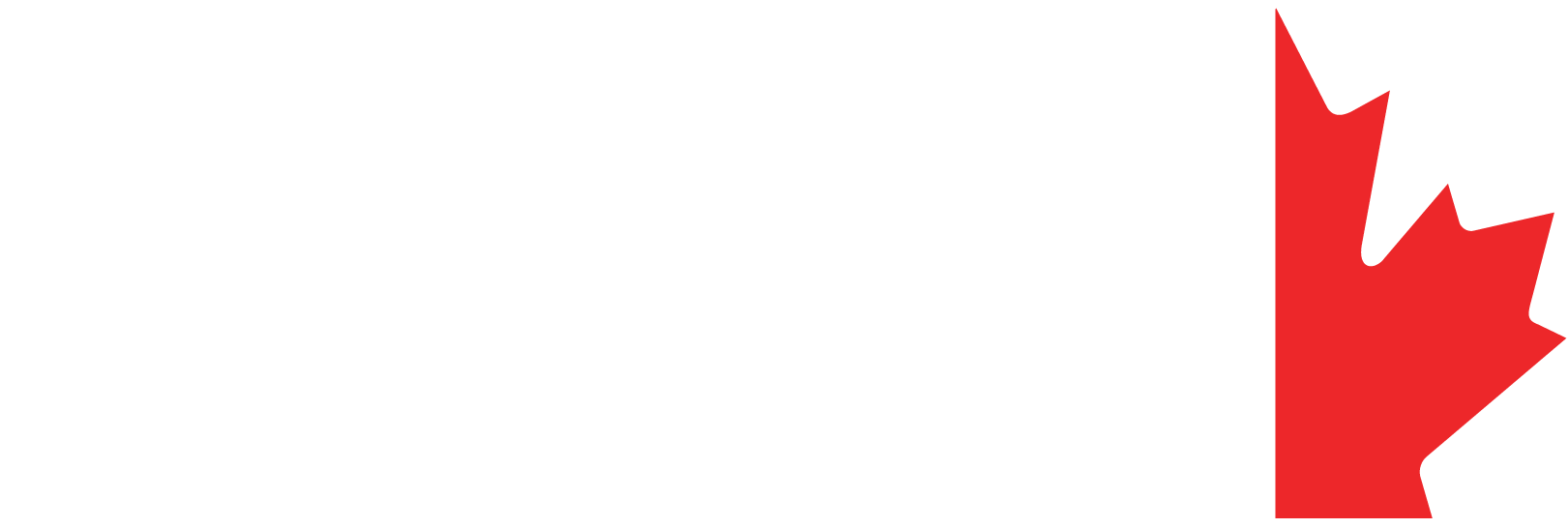 SolidPetroserve_logo